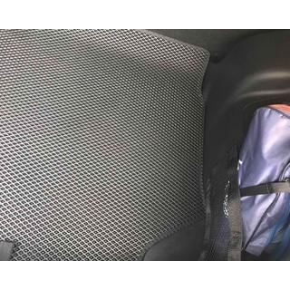 Trunk Mat (EVA, Black) photo 2