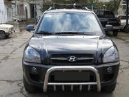 Hyundai Tucson JM 2004- Bull Bar Winbo V1 (Stainless Steel) photo 4