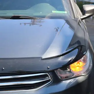Hood Deflector (EuroCap) photo 3