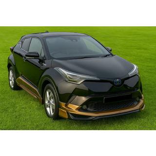 Body Kit Set (primed for painting) photo 1