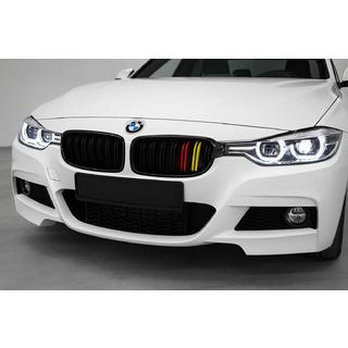 Kidney Grilles M-Look (German Color) photo 1