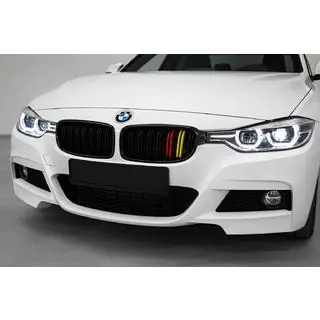Kidney Grilles M-Look (German Color) photo 1
