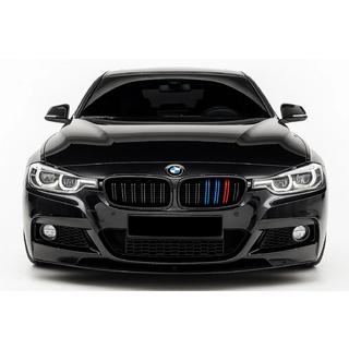 Kidney Grilles M-Look (M-Color) photo 1
