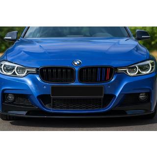 Kidney Grilles M-Look (M-Color) photo 2
