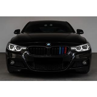 Kidney Grilles M-Look (M-Color) photo 3