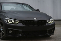 BMW 4 Series F32/F33/F36 2012-2020 Kidneys M-Look (Black Matte) photo 1