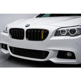 Kidney Grilles M-Look (German Color) photo 1