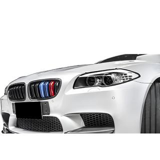 Kidney Grilles M-Look (M-Color) photo 1