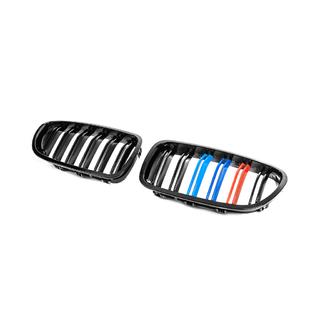 Kidney Grilles M-Look (M-Color) photo 4
