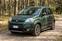 Fiat Panda 2011-2023 Side Steps Bosphore Grey (2 pcs, Aluminum) photo 1