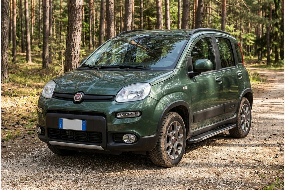 Fiat Panda 2011-2023 Side Steps Bosphore Grey (2 pcs, Aluminum) Image