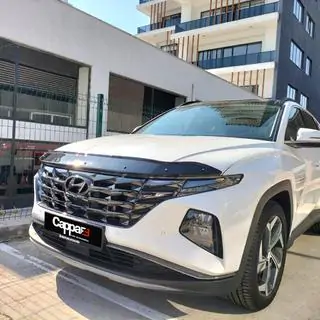 Hood Deflector (EuroCap)