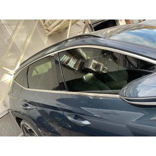 Window Lower Trim Stainless Steel (6 pcs) photo 2